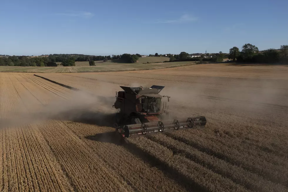 Central Minnesota's Soundtrack For National Farmers Day 2022!