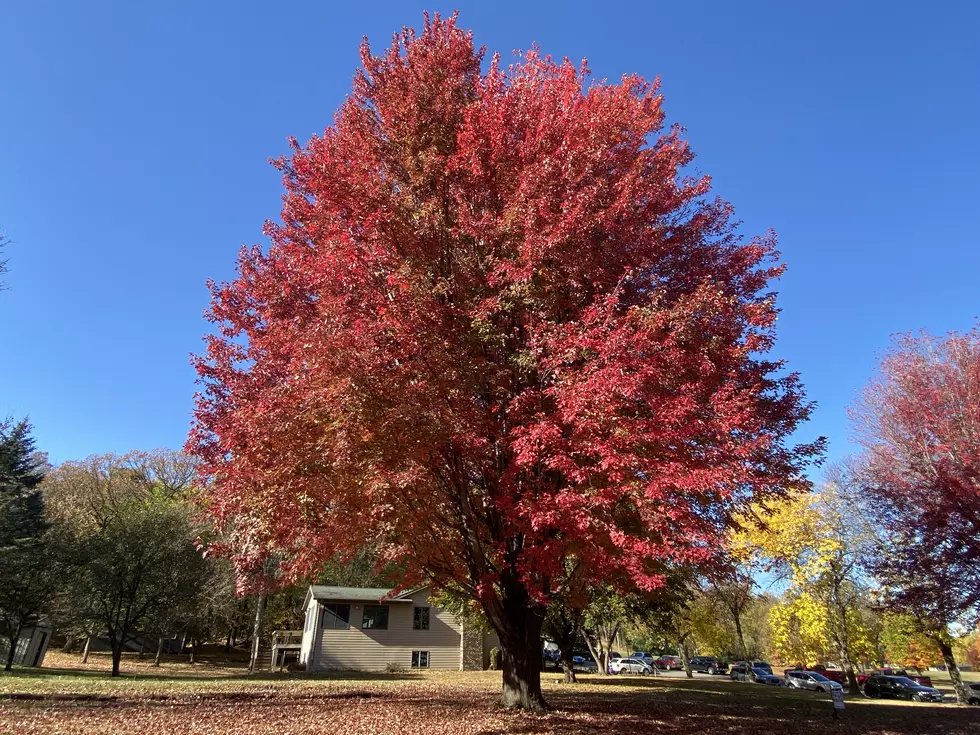 Something’s Amiss! Minnesota Is Not The Number One Fall Destination?