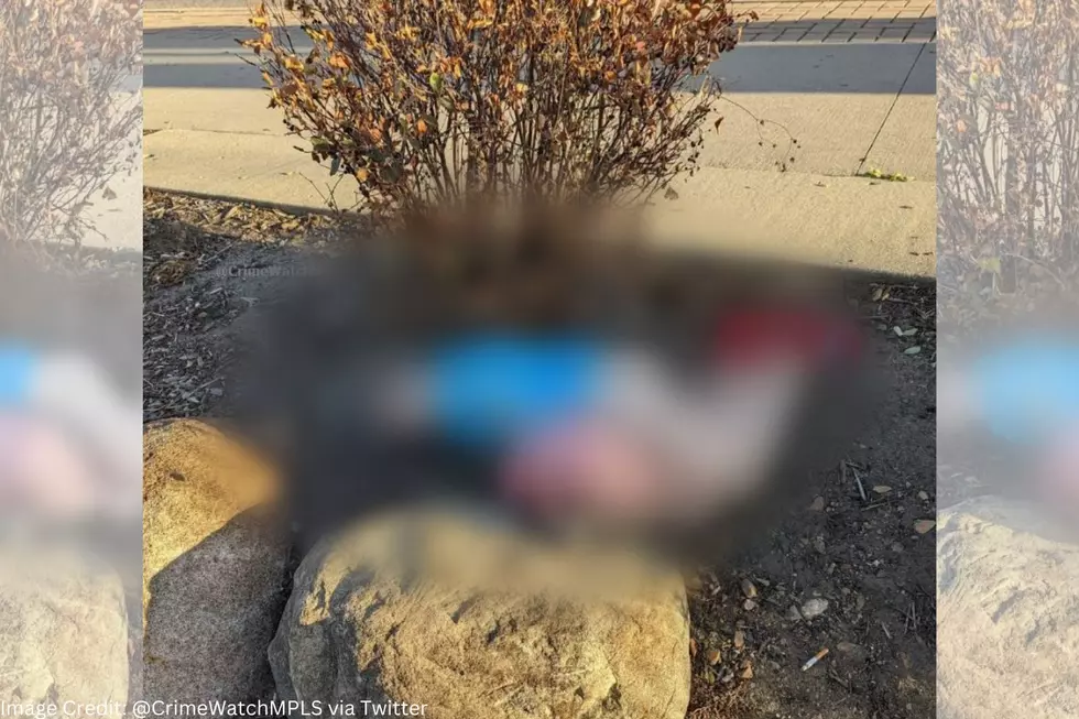 Look What Was Left Behind At This Minnesota Bus Stop