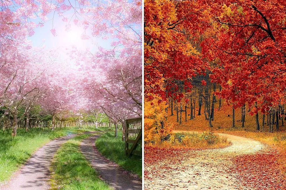 Spring vs. Fall: The Difference Between 50 Degree Days in Minnesota