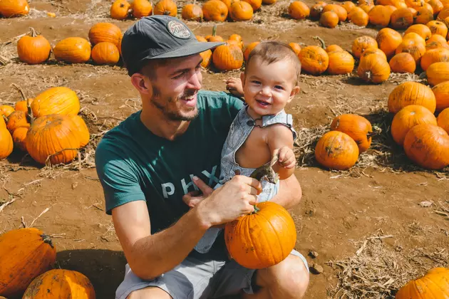 Plan A Trip To This Amazing Pumpkin Patch In Royalton This Fall
