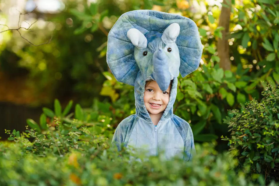 Boo! Local Zoo Hosting Area Businesses For A Fun Trick or Treat Event