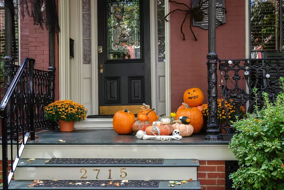 Done With Your Porch Pumpkins? Pine Grove Zoo Will Take Them