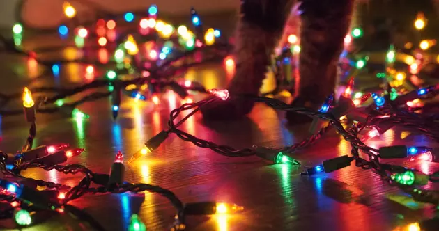 How Much Will Your Christmas Lights Cost In Minnesota This Year?