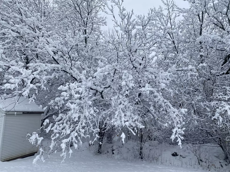 A Reminder That it is Still Technically Fall in Minnesota