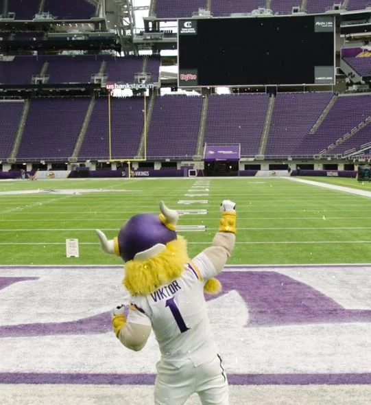 Awesome! The Minnesota Vikings Are Doing THIS To Their End Zones!