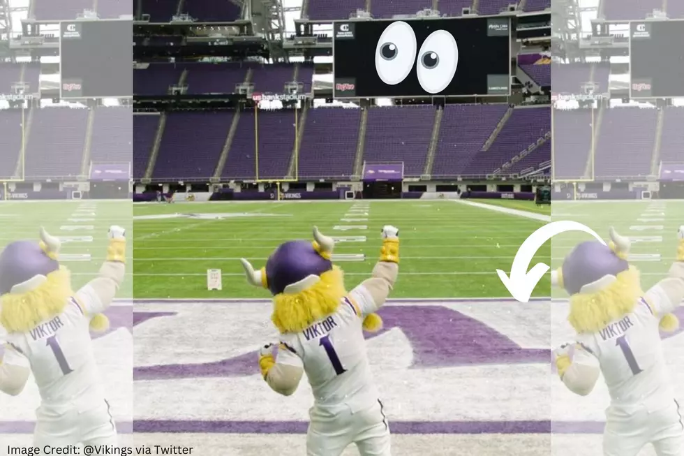 Awesome! The Minnesota Vikings Are Doing THIS To Their End Zones!