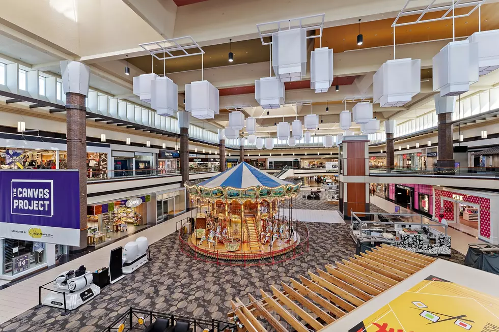 A Mall In Minnesota is Hitting the Auction Block Next Year