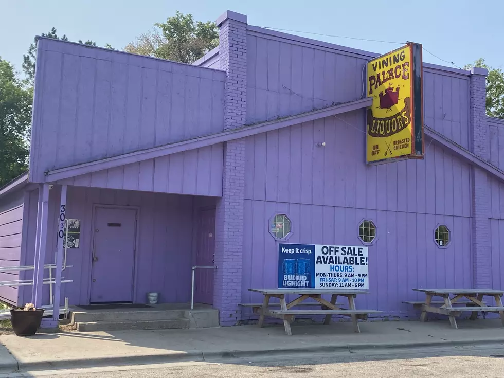 Iconic Purple Vining Palace Bar For Sale in Ottertail County