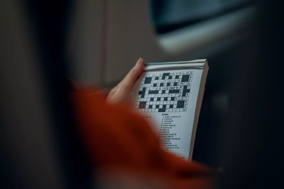 Crossword Wizard, Minnesota College Student Accomplishes Rare Publishing Feat