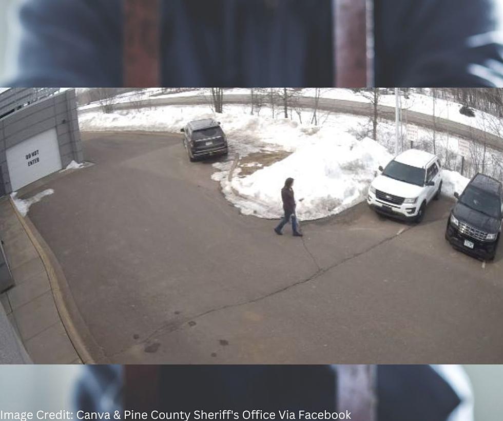 MN Sheriff Office Shares Video After Arrest - 'Can't Make It Up'