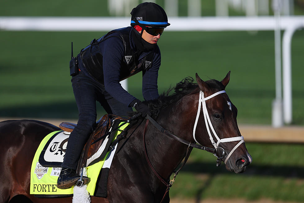 KENTUCKY DERBY FAVORITE ‘FORTE’ – SCRATCHED HOURS BEFORE RUN FOR THE ROSES