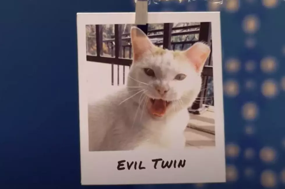 Nationwide Pet/Youtube