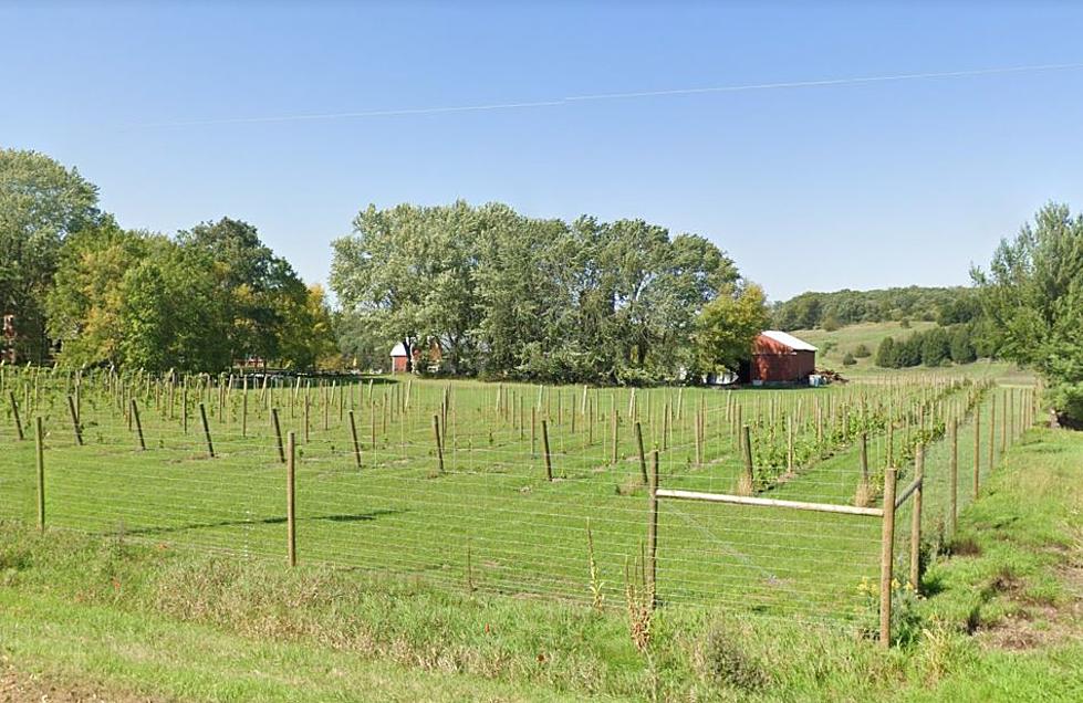 One Of Minnesota's Newest Wineries Is Just 90 Minutes From St. Cl