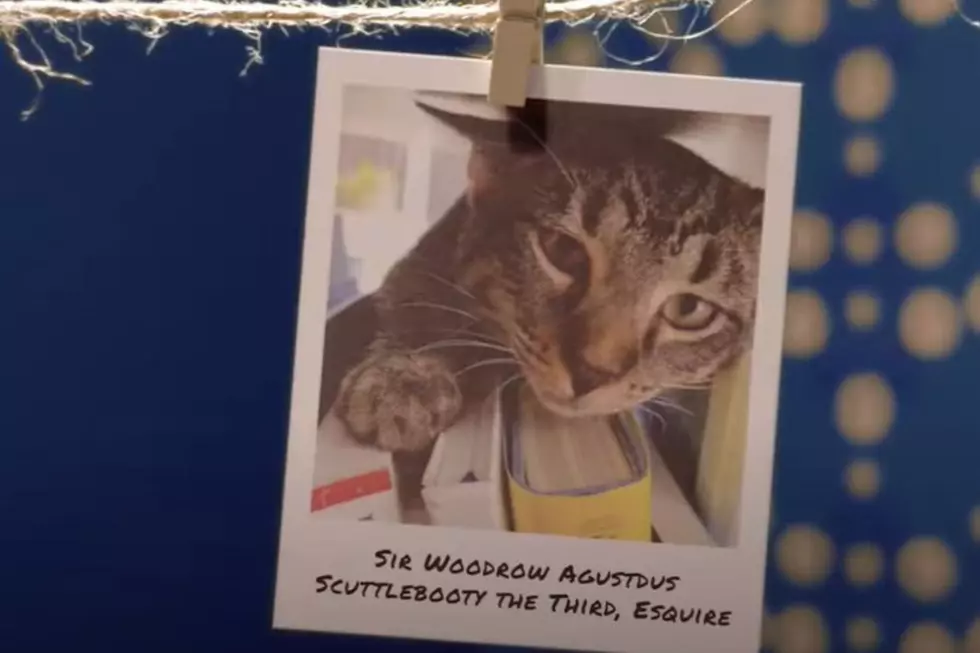 Nationwide Pet/Youtube