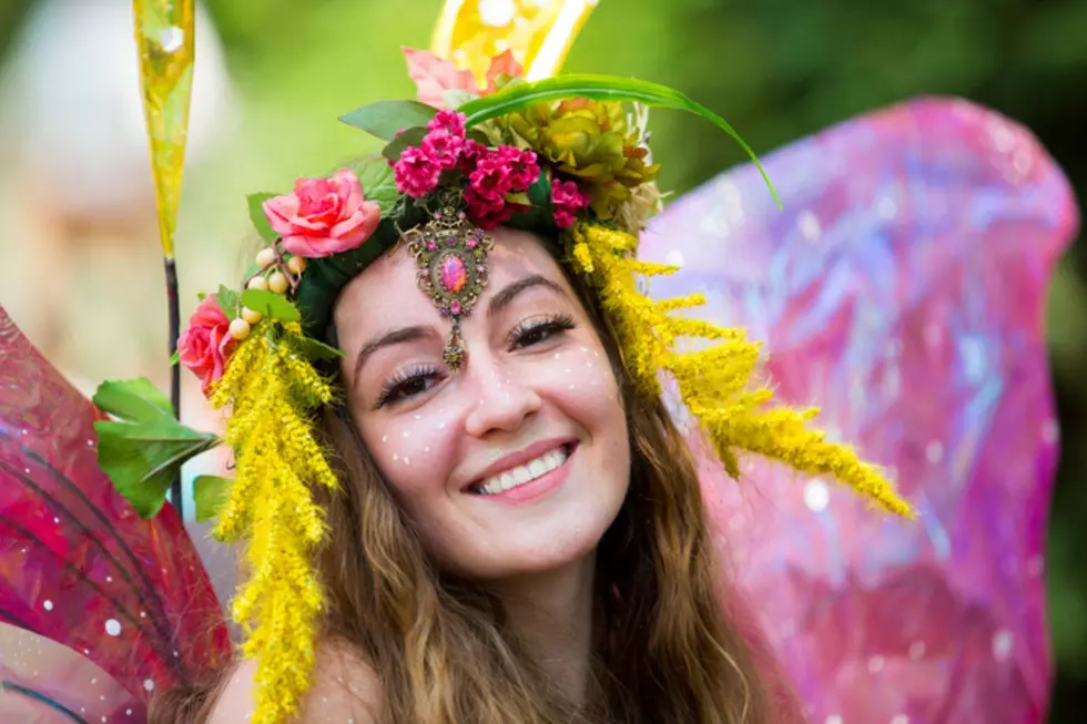 minnesotarenaissancefestival.com