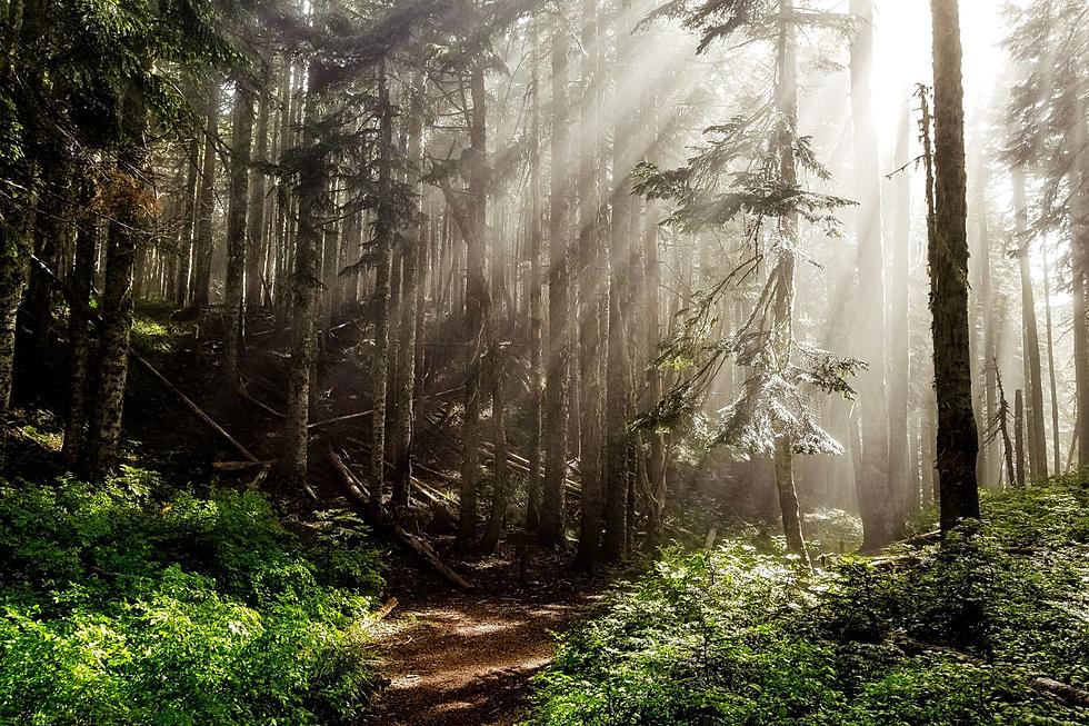 Hiking in Minnesota - This Trail is Remote, Rugged and Worth It