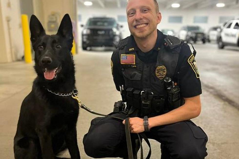 Sauk Rapids Police Department Bolts Forward -New K9 On The Force!