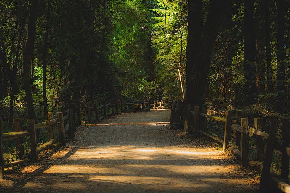 Great American Outdoors Day Gives Minnesotans Free State Park Entry