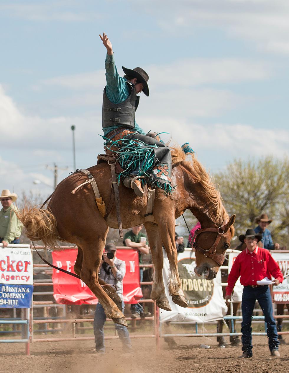 Mark your Calendars! Harding Days Has Officially Set The 2024 Rodeo Dates!