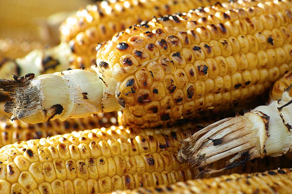 Does All That Delicious Grilled Corn At The State Fair Come From Central MN?
