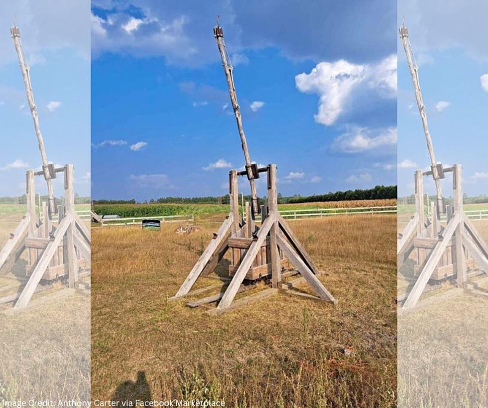 Pumpkin Chucker! Northern MN Man Is Selling His Pumpkin Trebuchet