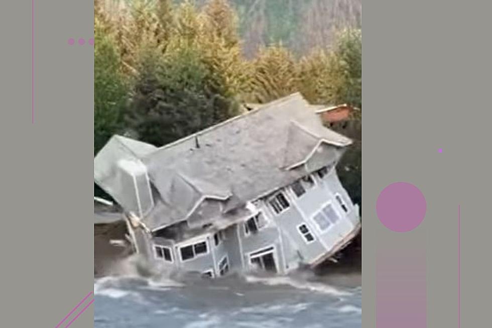 Family Pet Uses Up One Of It’s Nine Lives In Devastating Home Collapse