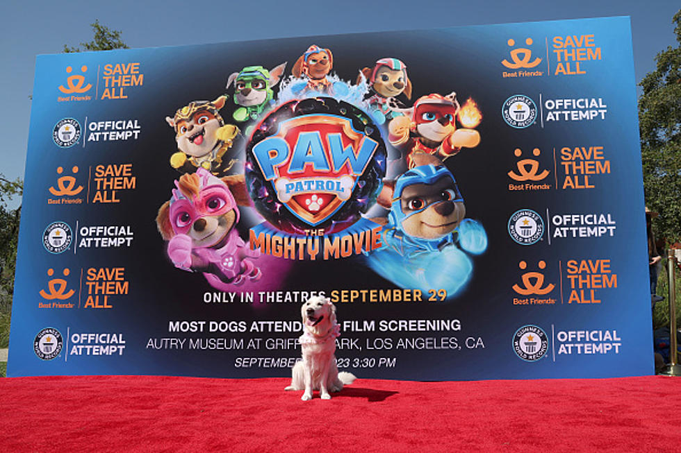 Trunk-Or-Treat At The Long Drive-In With &#8216;Paw Patrol &#8211; The Mighty Movie!&#8217;