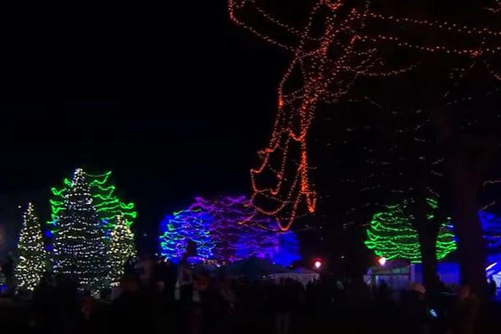 Tradition In Mpls, Beloved Holiday Festival Suddenly Cancelled