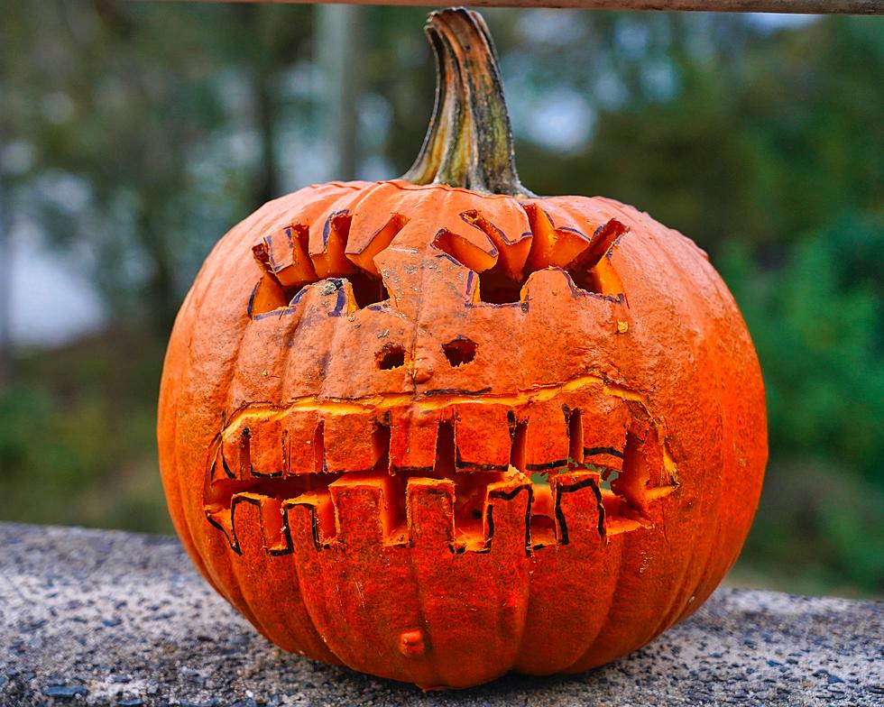 Everyone Loves A Carved Pumpkin: Helpful Animal Friendly Tips