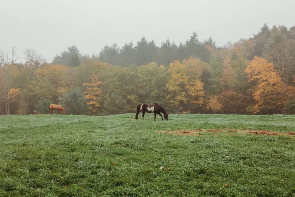 Photo by Moriah Wolfe on Unsplash