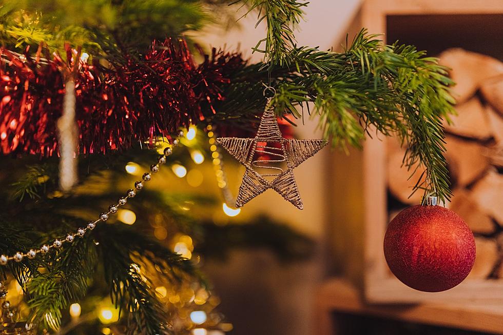 Here&#8217;s How To Make Your Real Christmas Tree Last The Whole Season