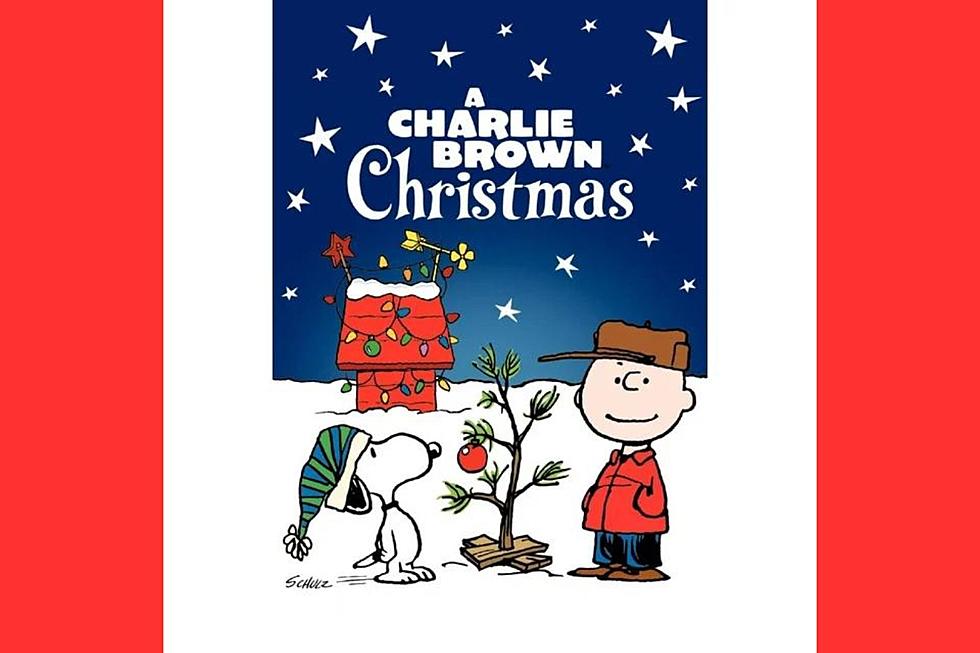 Last Minute Stocking Stuffer? Charlie Brown to Save the Day!
