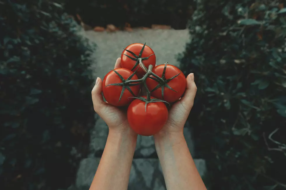 Photo by Clay Banks on Unsplash