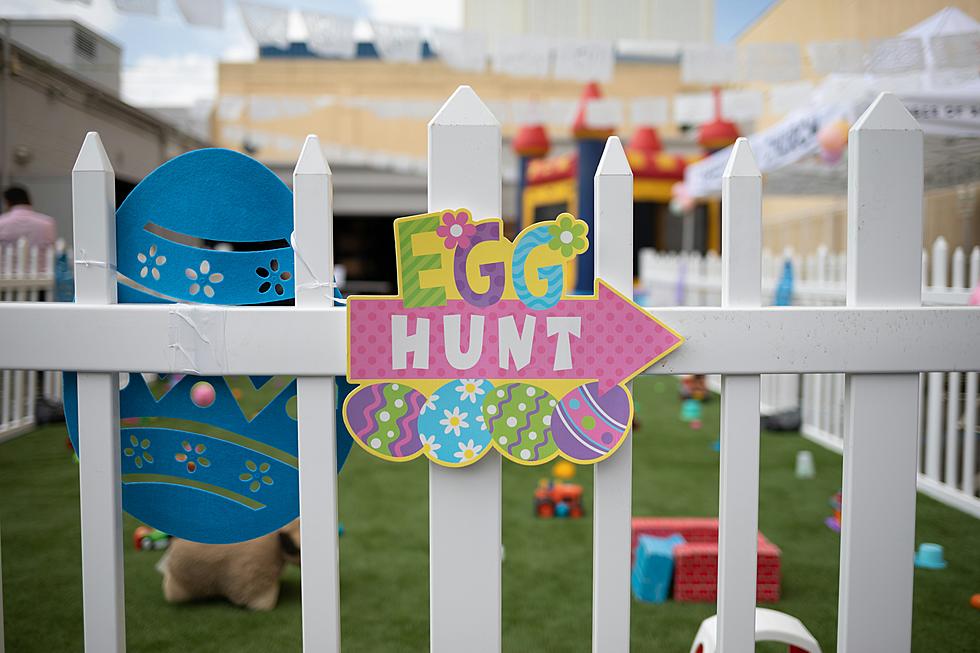 Guide To Easter Egg Hunts: Family-Friendly Events In Central Minnesota
