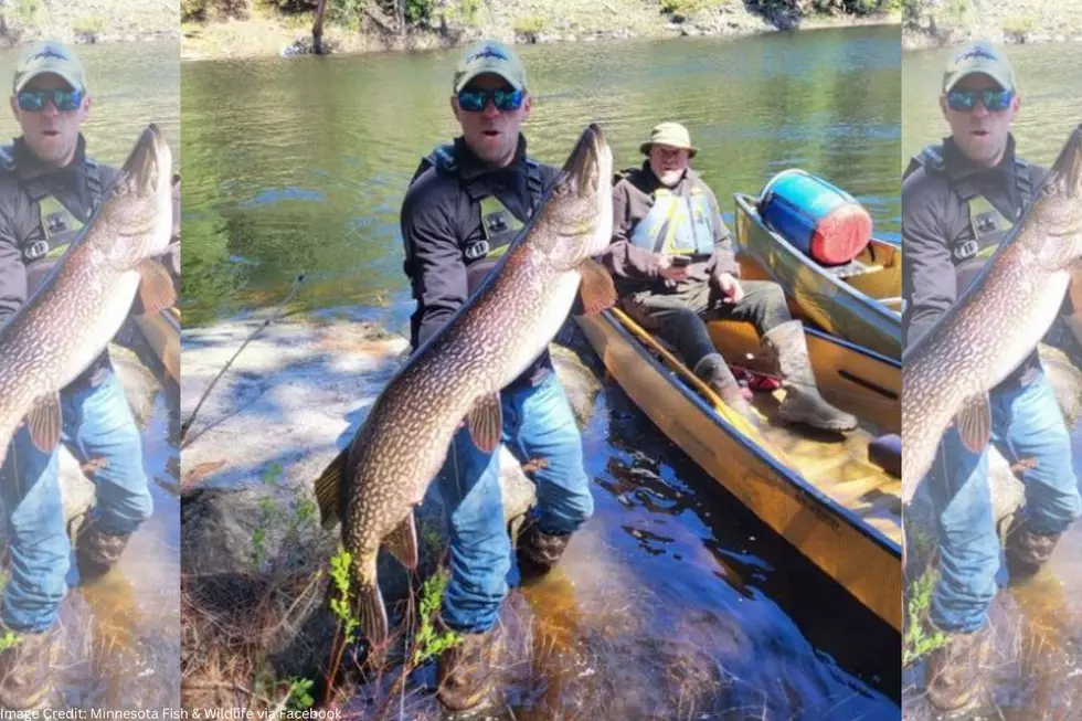Minnesota Man Loses Out On Possible Record Fish Due To This