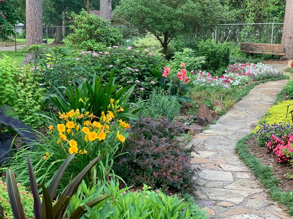 Explore Sherburne Counties Hidden Gems: Self-Guided Garden Tour This Saturday