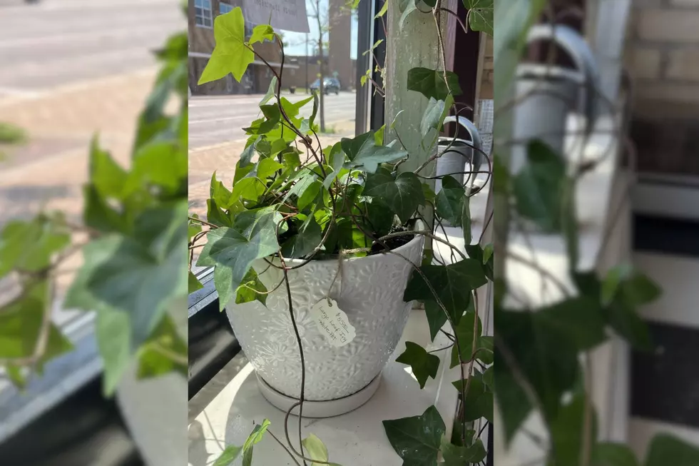 ‘Sage & Salvage’ Showcases Repurposed Finds During Granite City Days