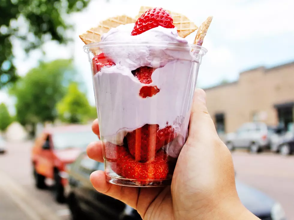 Minnesota State Fair