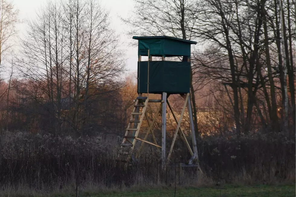 5 Things That Minnesota Hunters Should Be Doing Right Now