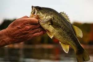 It’s A Largemouth Kind Of Weekend Across Central Minnesota