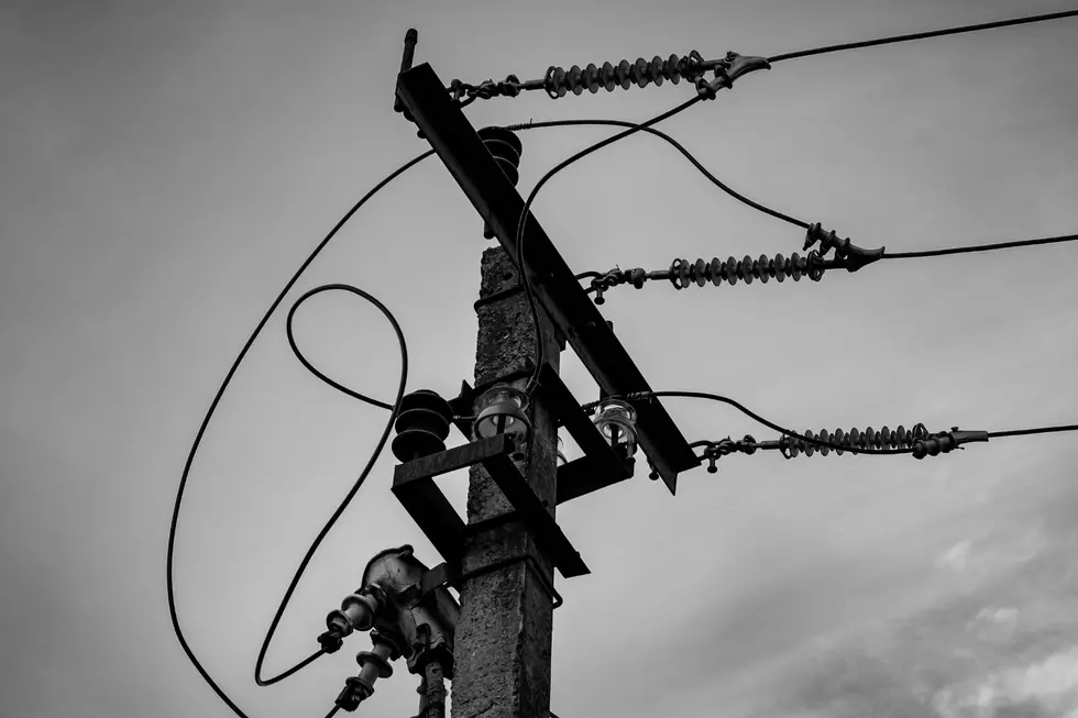 Dam! Beaver Causes Brief Power Outage in Cass County