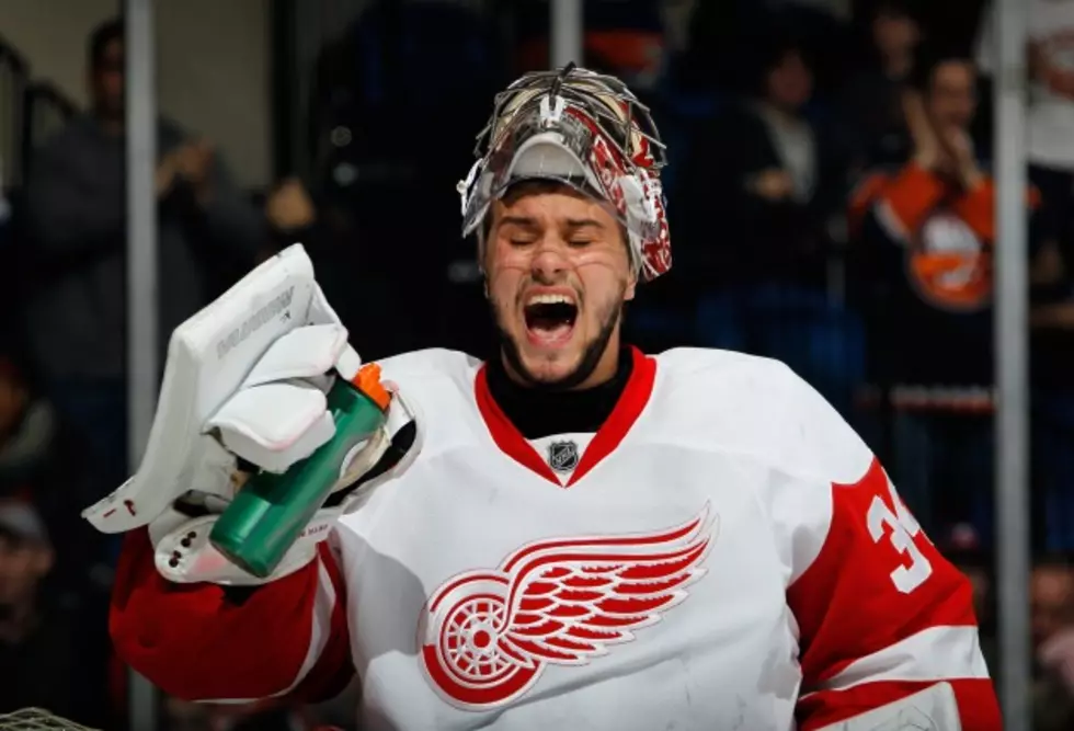 Sports: Wings Count on Petr Mrazek