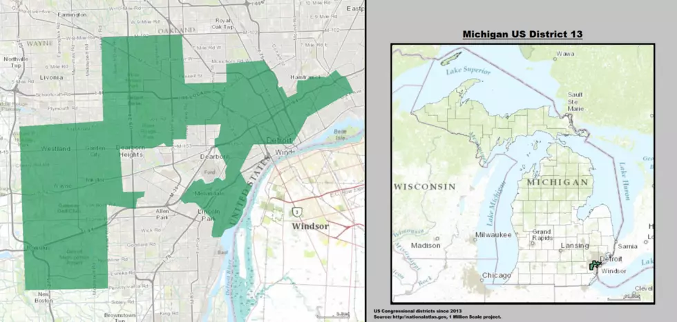 Redistricting Michigan