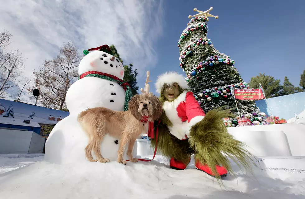 Really Michigan; Were One Of The ‘Grinchiest’ States In America