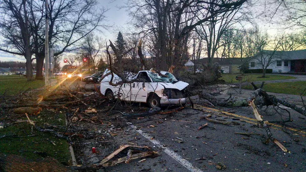 High Winds Bring Down Trees, Crush Van in Battle Creek