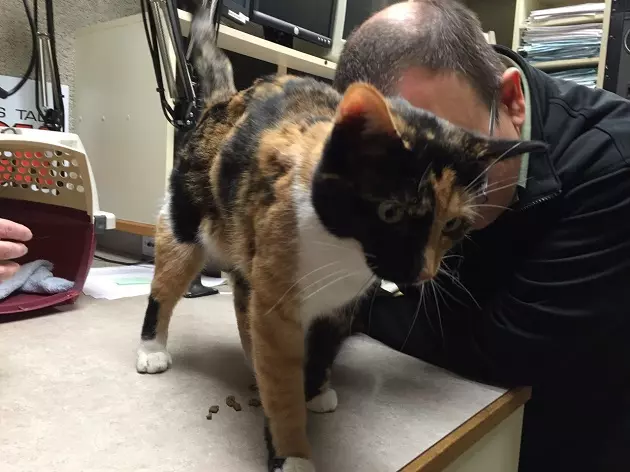 Wiggly Tail: Adopt Marilyn