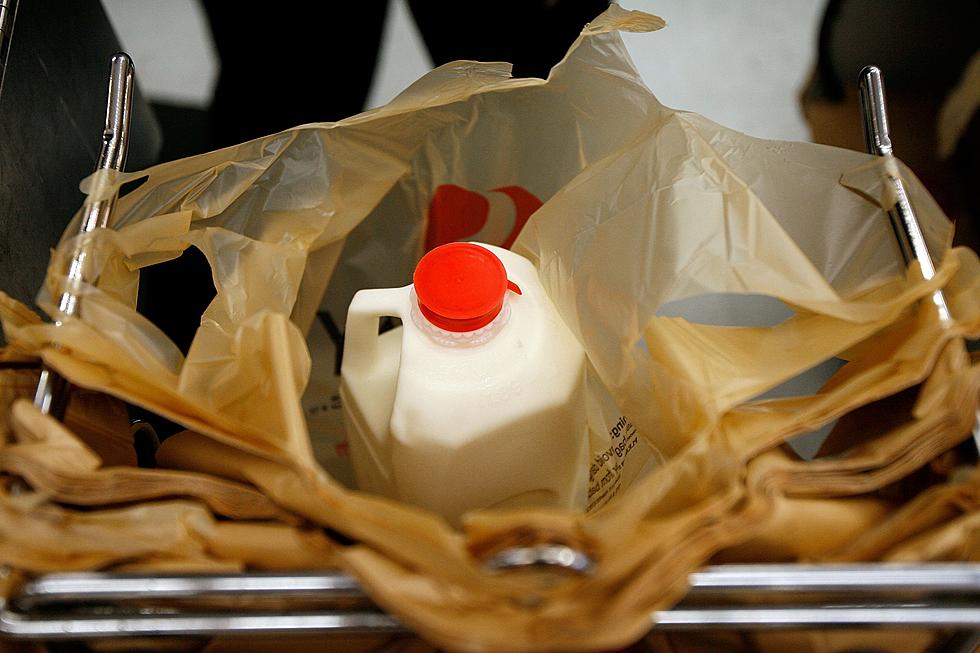 Plastic Bags Are Safe For Now in Michigan