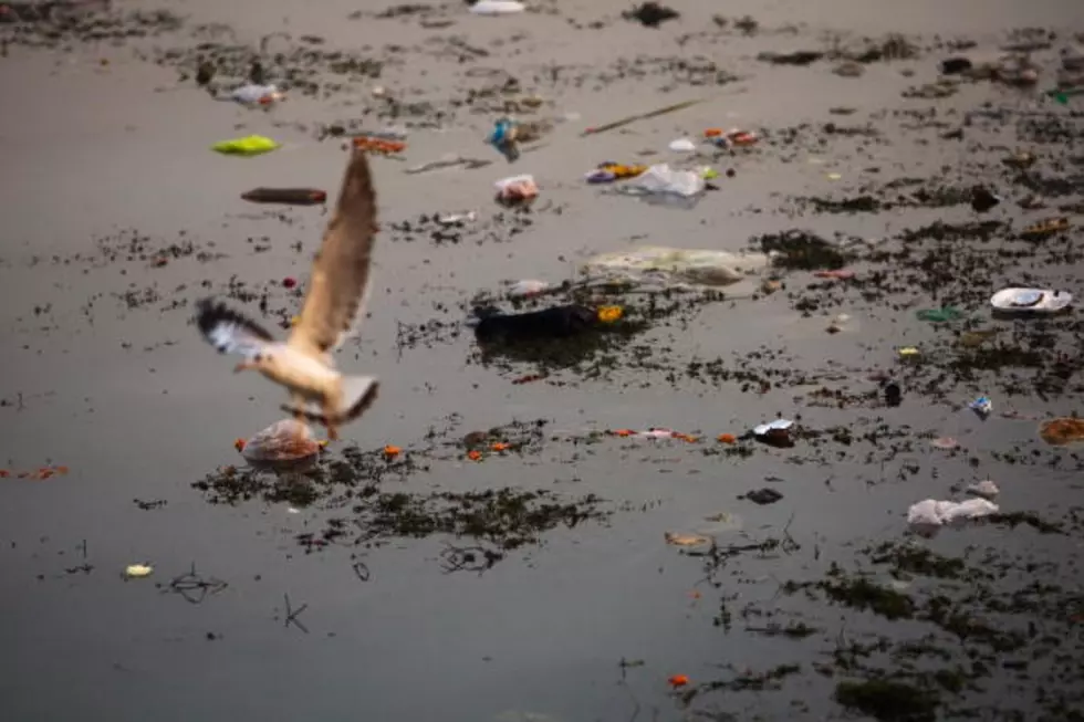 Fifth Annual Muskegon River Cleanup, Still A Good Haul