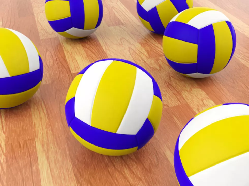 Two Volleyball Regionals in Battle Creek, Six Area Squads Remain